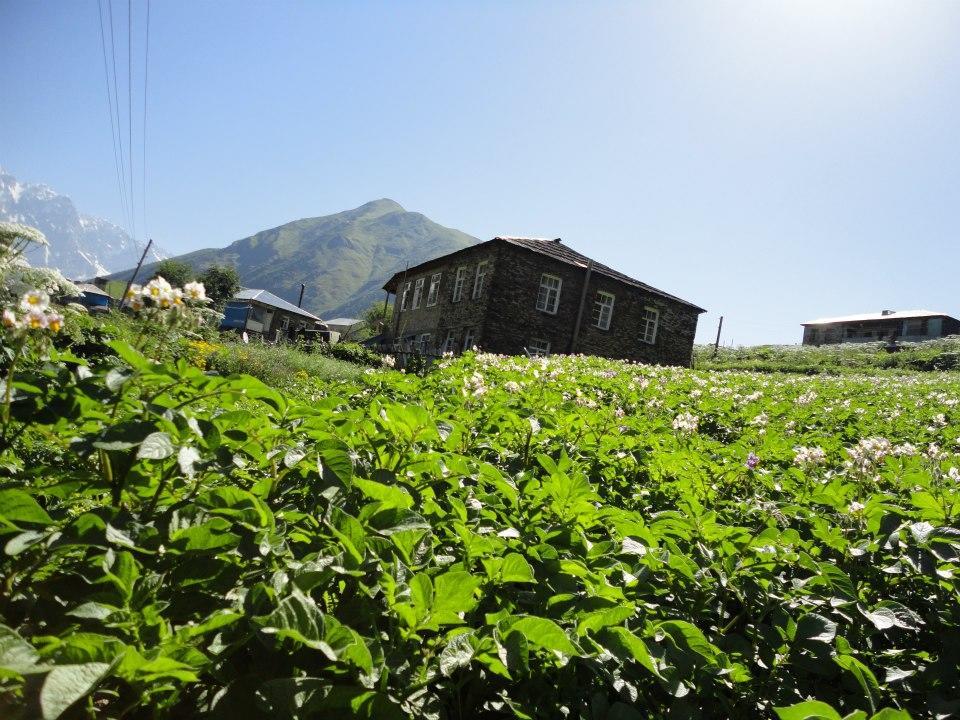 Caucasus Guesthouse Ушґулі Екстер'єр фото